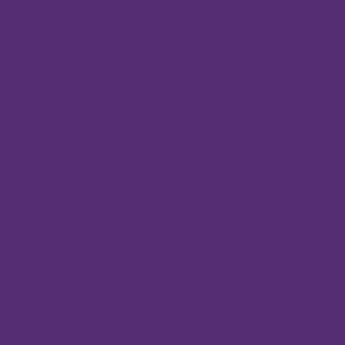 A solid purple square with no other features or details. - CSA Catapult